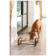 Ein brauner Hund frisst aus einem stilvollen doppelten Futterstand mit Edelstahlschüsseln, in einem modernen Innenraum.