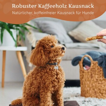 Ein flauschiger Hund sitzt auf einem Teppich und konzentriert sich auf eine Hand, die einen Kauknochen hält. Der Text darüber bewirbt einen natürlichen, koffeinfreien Hundekauartikel.