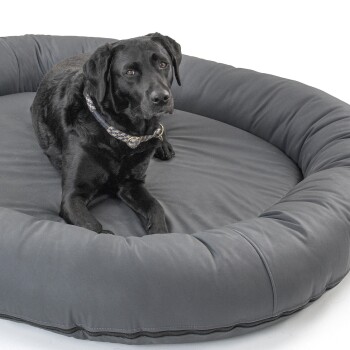 Ein schwarzer Labrador-Retriever ruht auf einem großen, runden, grauen Haustierbett und schaut mit einem ruhigen Ausdruck direkt in die Kamera.