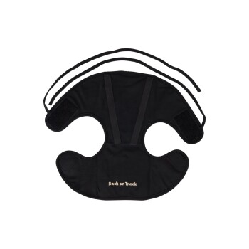 Schwarzes Haustiergeschirr mit verstellbaren Riemen und Klettverschlüssen, mit dem Text 'Back on Track' in Gold gestickt.