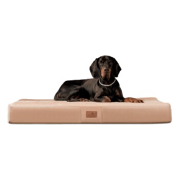 ® FLOKI ORTHO PLUS Orthopädische Hundematte aus Plüsch & High-Tech-Velours beige 1,2 m, 13 cm, 90 cm