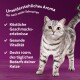 Nassfutter Katze Adult, Multipack, 1+ Gemischte Auswahl, in Sauce 24x85 g