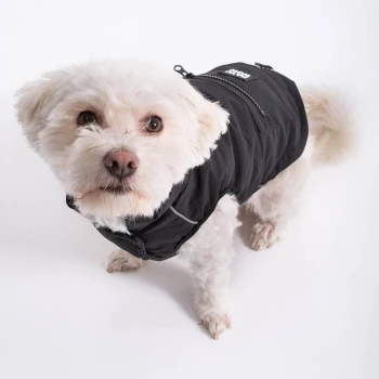 Ein kleiner weißer Hund trägt eine stylische schwarze Daunenjacke mit Reißverschlüssen und reflektierenden Details, steht vor einem weißen Hintergrund.
