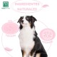 Ein schwarz-weißer Hund sitzt vor einem weißen Hintergrund mit dem Text: "Ingredientes Naturales," "Sin Tóxicos," und "Vegan Friendly."