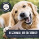 Ein brauner und weißer Hund leckt sich die Lippen, während er an einem Nylonknochen kaut. Text: "Geschmack, der überzeugt! Mit echtem Speck angereichert - Hunde lieben es!"