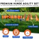Premium Hunde Agility Set mit einem 3 m langen Tunnel, 8 Slalomstangen und 2 professionellen Hürden, mit einem Hund, der auf einem Grasfeld spielt.