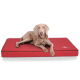 Ein hellbrauner Hund liegt bequem auf einem roten, gesteppten Haustierbett mit schwarzem Rand, das ein gemütliches und einladendes Design zeigt.