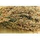 Eine Nahaufnahme von getrockneten Hirsegranen, die ihre goldenen und grünen Farbtöne zeigt, angeordnet auf einer Holzoberfläche.