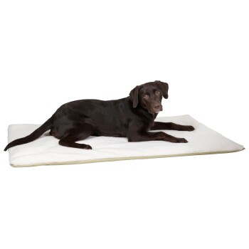 Ein brauner Hund liegt auf einem weichen, weißen Haustierbett und zeigt seine entspannte Haltung und sein glattes Fell.