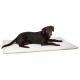 Pet Liegekissen Theo, Beige, 75x50x3cm L