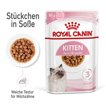 Kitten in Soße 12x85 g