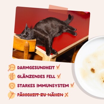 Schwarze Katze auf rotem Tisch; Text: DARMGESUNDHEIT, GLÄNZENDES FELL, STARKES IMMUNSYSTEM; FÄHIGKEIT ZU NÄHEN durchgestrichen