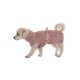 Ein kleiner, flauschiger Hund trägt einen weichen, rosa Handtuchmantel mit einer Schleife an der Seite und läuft vor einem weißen Hintergrund.