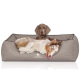 Zwei Hunde liegen auf einem weichen grauen Bett mit dem Logo "KNUFFELWUFF", einer verspielt und der andere bequem ruhend.