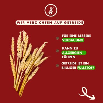 Das Bild zeigt Weizenhalme auf rotem Hintergrund mit dem Text "Wir verzichten auf Getreide" und Hinweisen zu Verdauung, Allergien und Füllstoffen.