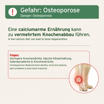 Bildwarnung über Osteoporose bei Haustieren, die Risiken von kalziumarmen Diäten hervorhebt, mit Konsequenzen in Deutsch und Englisch aufgelistet.