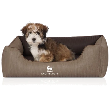 Flauschiger braun-weißer Welpe sitzt in einem braunen Hundebett mit der Aufschrift KNUFFELWUFF und weißem Hundelogo.