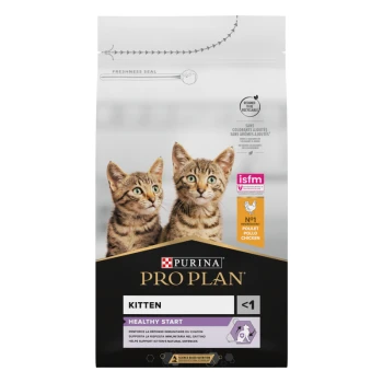 Eine Tüte Purina Pro Plan Kittenfutter mit zwei verspielten getigerten Kätzchen, beschriftet mit 'Healthy Start' und Huhn als Hauptzutat.