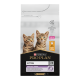 Sac de nourriture pour chat Purina Pro Plan mettant en vedette deux chatons tabby joueurs, étiqueté "Healthy Start" avec du poulet comme ingrédient principal.