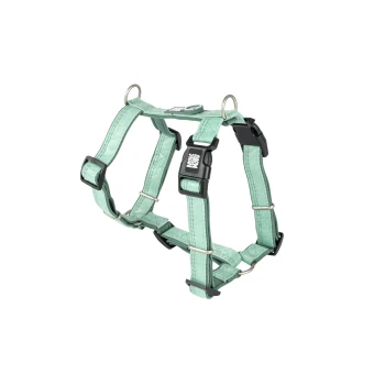 Mintgrünes verstellbares Hundegeschirr mit schwarzen Kunststoffschnallen und Metallringen, beschriftet mit "Max & Molly".