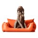 Ein grauer Hund sitzt auf einem leuchtend orangefarbenen Hundebett und schaut neugierig in die Kamera.