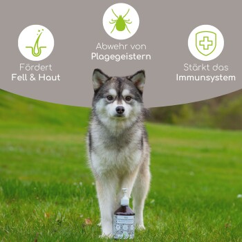 Hund steht auf Gras neben einer Flasche mit Tierpflegeprodukt; deutscher Text hebt Vorteile hervor: "Fördert Fell & Haut", "Abwehr von Plagegeistern", "Stärkt das Immunsystem."