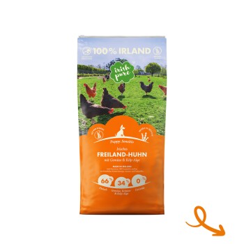 Irish Pure Trockenfutter: Irisches Freiland-Huhn mit Gemüse & Kelp-Alge, Puppy 4 kg