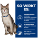 Eine Katze mit einem blauen Halsband sitzt neben einem Text, der die Vorteile von Tierfutter auflistet: kontrollierter Phosphor, niedriger Natriumgehalt, Omega-3 und mehr.