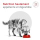 Chien mangeant dans une gamelle rouge, texte : « Nutrition hautement appétente et digestible » et badge « Nutrition vétérinaire ».
