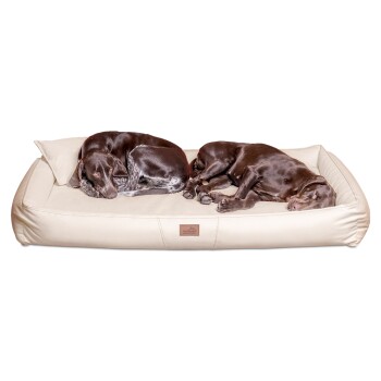 ® CLIFFORD LATEX Orthopädische Hundematratze creme 1,2 m, 16 cm, 85 cm