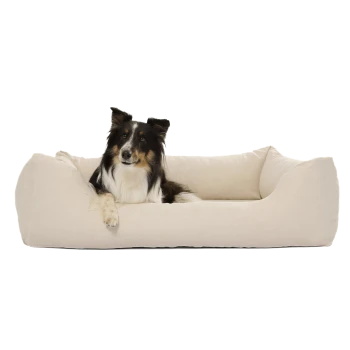Graues Haustierbett mit erhöhten Rändern und einem weichen Inneren, mit einem kleinen Etikett, das "PAW" liest.