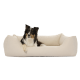 Graues Haustierbett mit erhöhten Rändern und einem weichen Inneren, mit einem kleinen Etikett, das "PAW" liest.