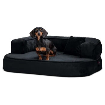 Ein schwarzer Dackel, der bequem auf einem plüschigen, dunkelgrauen Hundebett mit erhöhten Seiten und einem kleinen Kissen liegt.