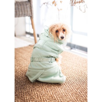 Ein kleiner Hund, der einen hellgrünen, strukturierten Kapuzenpullover mit einem Etikett "PAIK" trägt, sitzt auf einem gewebten Teppich und schaut von der Kamera weg.