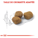 Trois morceaux de croquettes pour animaux sont affichés sur un contour esquissé, avec le texte "TAILLE DE CROQUETTE ADAPTÉE" au-dessus.
