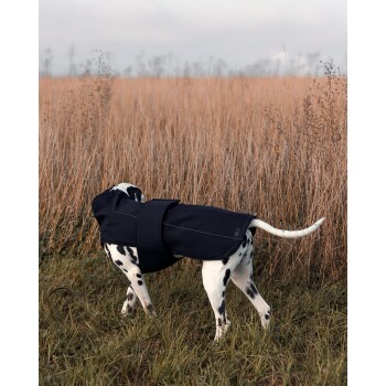 Ein Dalmatiner, der einen schwarzen Mantel trägt, steht in einem Feld mit hohem, trockenem Gras, mit dem Rücken zur Kamera gewandt.
