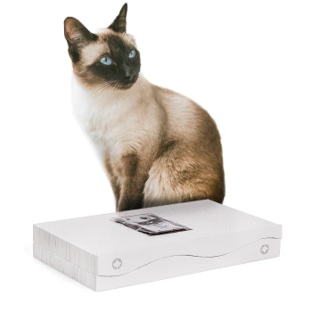 Kratzbrett Kratzblock aus zwei Kratzwellen 2 in 1 weiß Eine Siamkatze mit auffälligen blauen Augen sitzt neben einer weißen Haustierproduktbox mit einem kleinen Paket oben.