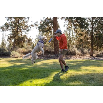 Eine Person in einer orangefarbenen Jacke und Shorts spielt Apportieren mit einem springenden weißen Hund in einem grasbewachsenen Park, umgeben von Bäumen.