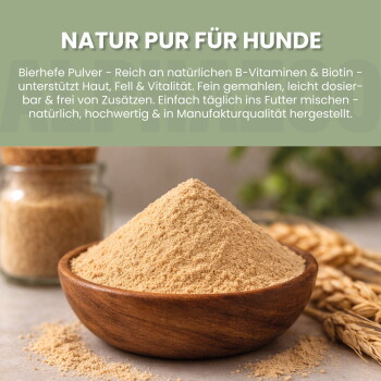 Bild eines Hundes, der neben einer Person auf einem Sofa sitzt, mit einem Bewertungsfeld mit einer Bewertung von 4,8/5 Sternen und Text, der ein B-Vitaminpräparat lobt.