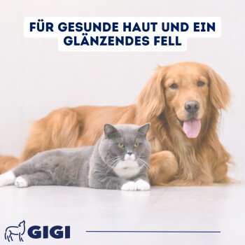 Blauer Hintergrund mit dem Text "Spezielle Zusammensetzung", Omega-3- und Calcium-Symbole, ein Bild einer 1,6 cm großen Pille und dem Gigi-Logo am unteren Rand.