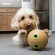 A fluffy, light-colored dog plays with a KONG toy on a tiled kitchen floor, with treats scattered nearby.