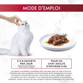 Witte langharige kat geaaid naast een bord nat kattenvoer; GEBRUIKSAANWIJZING — 5–6 zakjes per dag — voor volwassen kat ~4 kg