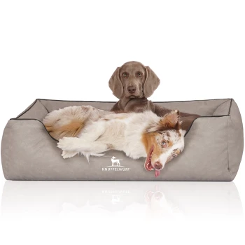 Hundebett Scottsdale aus Kunstleder hellgrau XXXL Ein gemütliches Hundebett in neutralem Grau mit einem weißen Logo, das "KNUFFELWUFFF" liest. Zwei Hunde liegen bequem, einer mit einem verspielten Ausdruck.