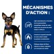 Petit chien avec un collier bleu et du texte sur la perte de poids : consommation d'énergie, combustion des graisses et fibres pour la satiété.
