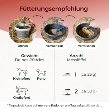 Grafik „Fütterungsempfehlung“ – Öffnen, Vermengen, Vermischen; Dosierung: Pony/Kleinpferd 1 Messlöffel (ca. 25 g), Großpferd 2 Messlöffel (ca. 50 g)