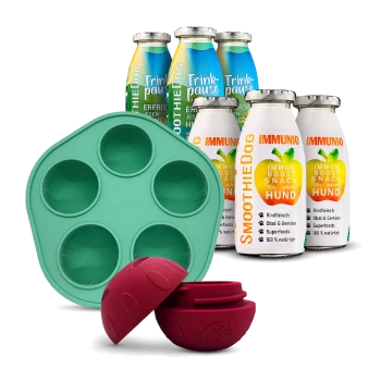 Grüne SmoothieDog Silikonform, roter Leckerbissenball mit Keks und sechs SmoothieDog Immunstärkende und Erfrischende Snackflaschen für Hunde.