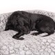 Ein schwarzer Labrador Retriever liegt auf einem weichen, grauen Haustierbett mit einer strukturierten Oberfläche und sieht nachdenklich aus.