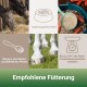 Pferde fressen Heu, eine Futterschüssel mit Karotten und eine Waage. Der Text lautet "Ergänzungsfuttermittel" und "Empfohlene Fütterung."