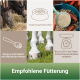 Pferde fressen Heu, eine Futterschüssel mit Karotten und eine Waage. Der Text lautet "Ergänzungsfuttermittel" und "Empfohlene Fütterung."