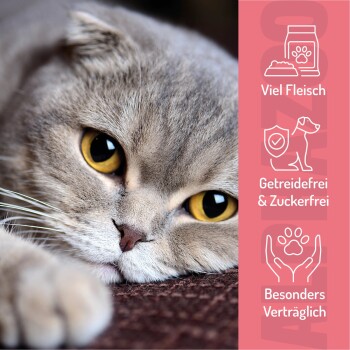 Ein pinkfarbener und schwarzer zylindrischer Behälter mit der Aufschrift "SOFT UND YUM" und dem Text "TRAININGSSNACK HUN & LACHS" für Katzen, umgeben von Haustierleckereien.